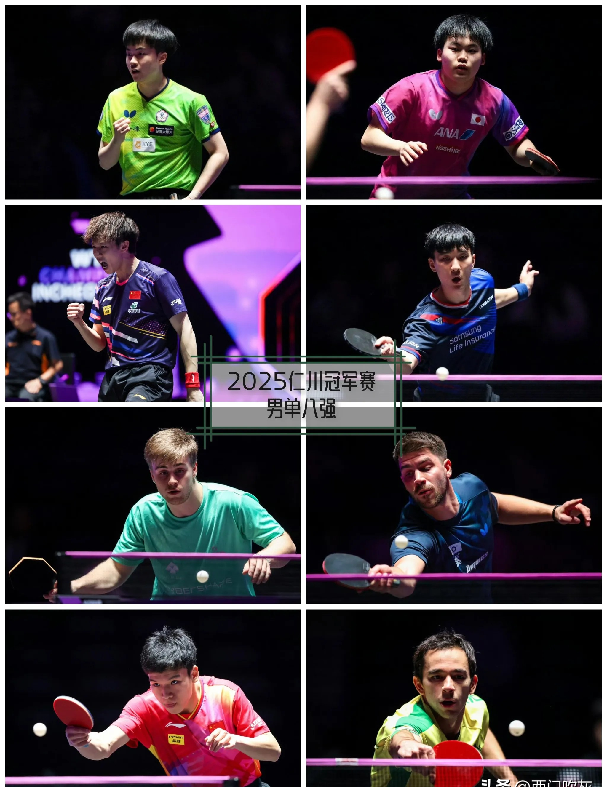 韩国乒乓球队完胜波兰乒乓球队,波尔制霸全场的简单介绍 韩国乒乓球队完胜波兰乒乓球队,波尔制霸全场的简单介绍