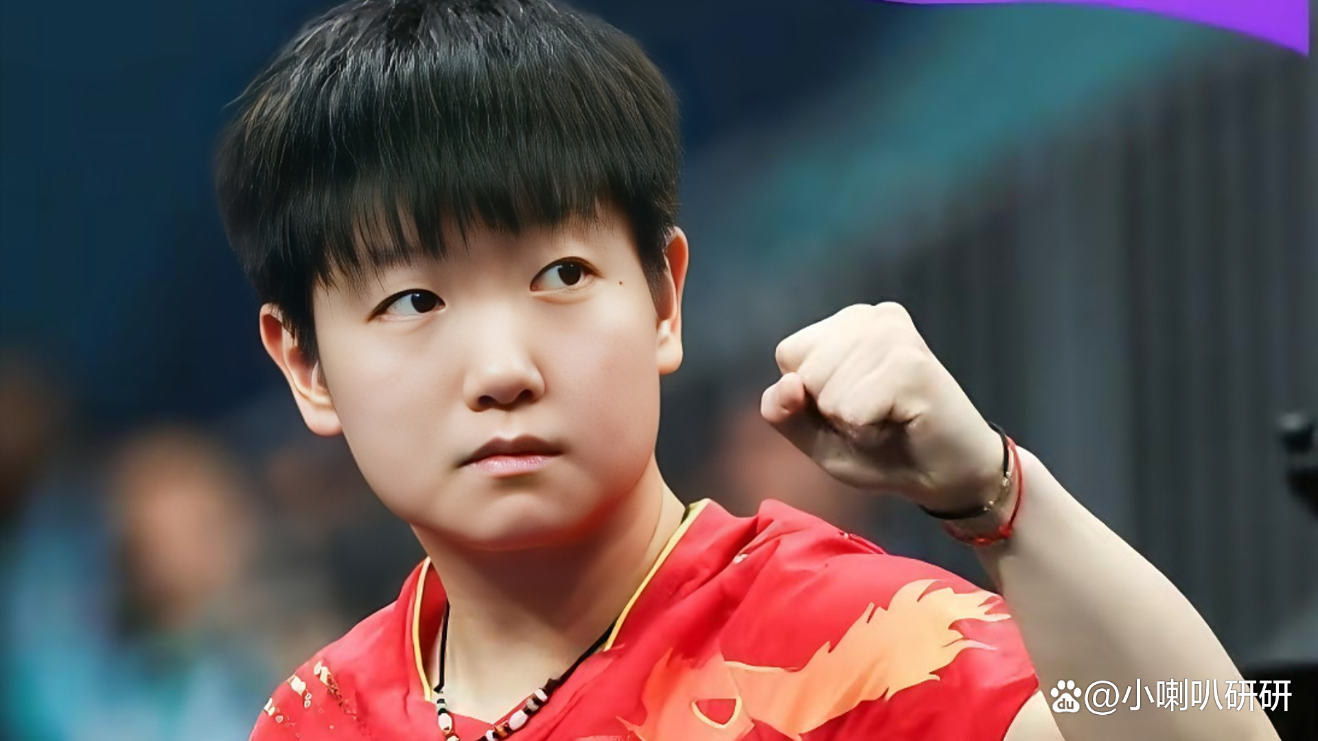 韩国乒乓球队绝地反击法国乒乓球队，奥恰洛夫送出助攻的简单介绍