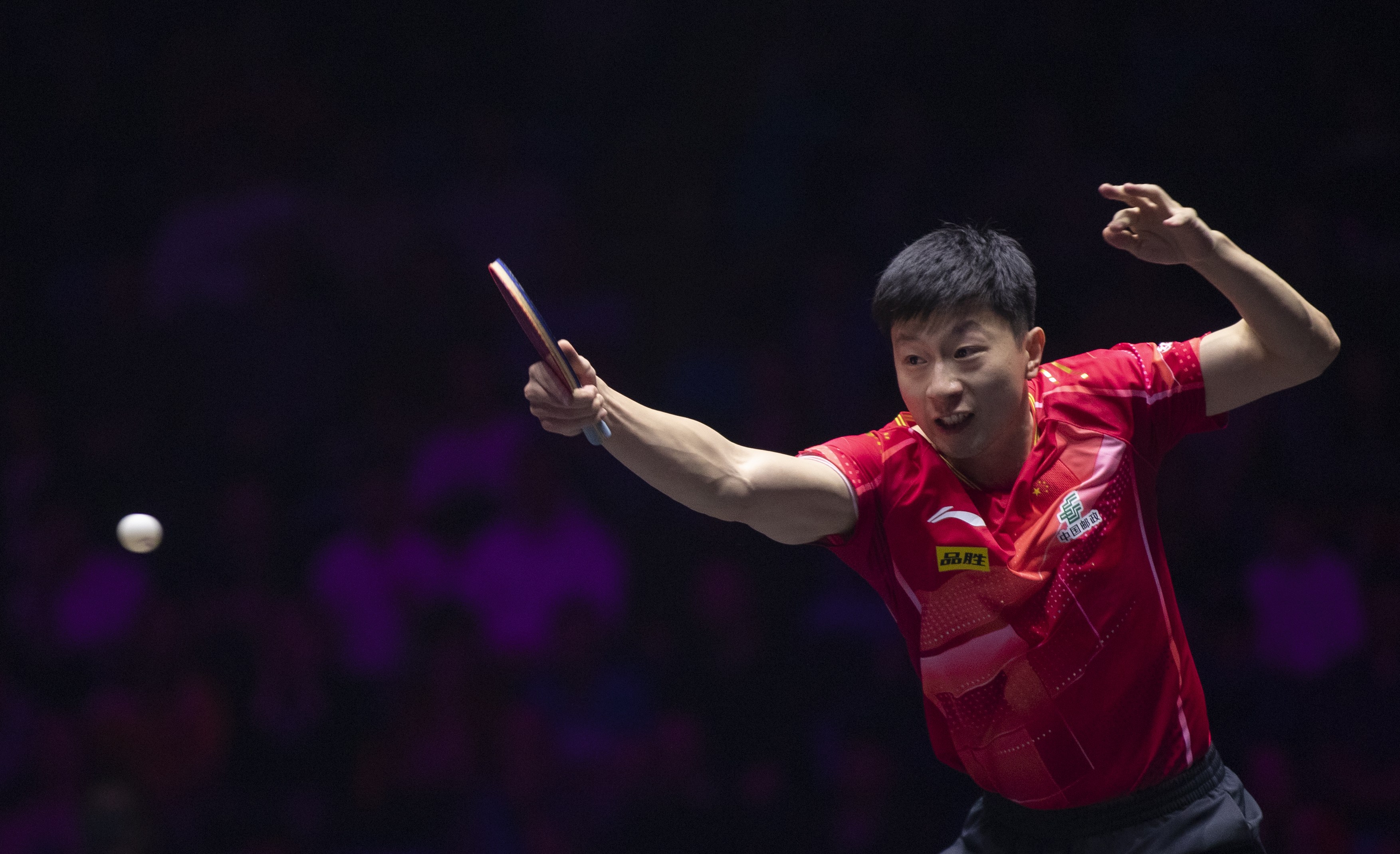 日本乒乓球队血洗比利时乒乓球队，马龙高光表现的简单介绍