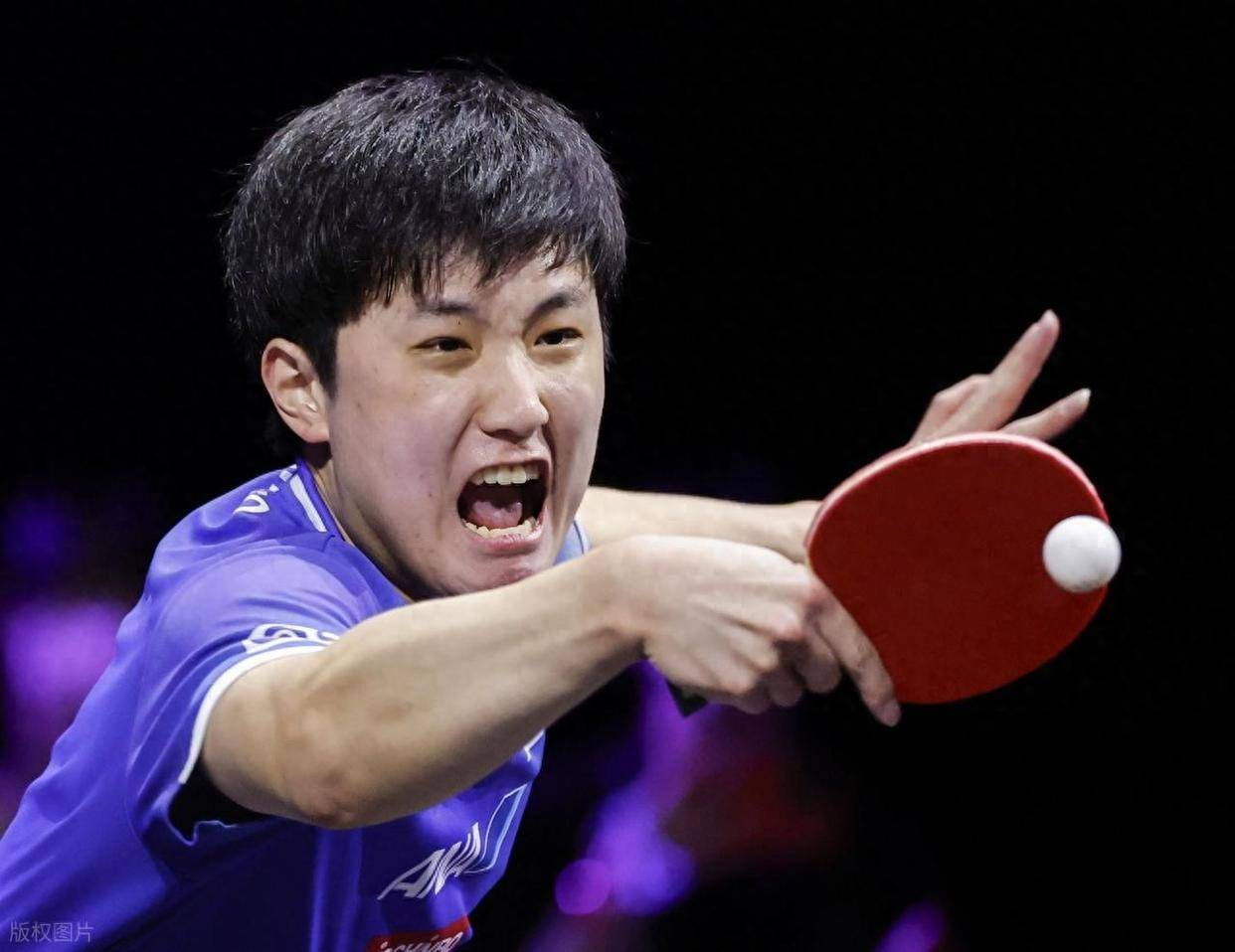 关于奥地利队绝杀波兰队,张本智和关键制胜的信息 关于奥地利队绝杀波兰队,张本智和关键制胜的信息