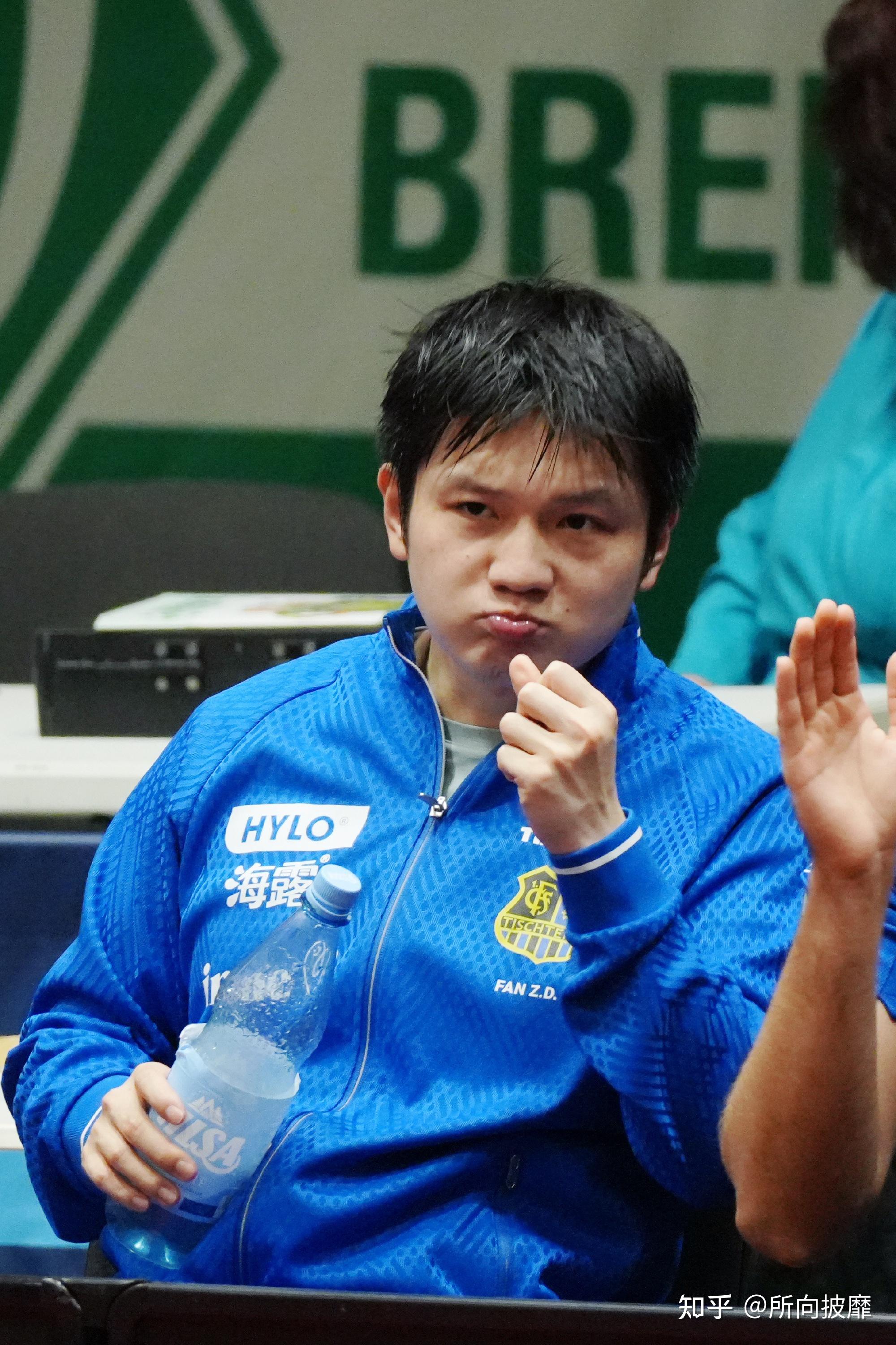 葡萄牙队鏖战法国队，樊振东统治全场的简单介绍